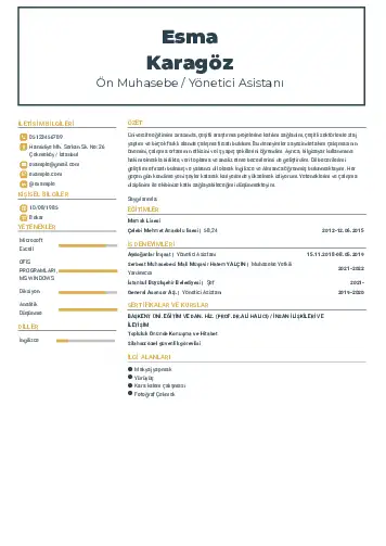 Yönetici Asistanı Cv Örnekleri cv indir